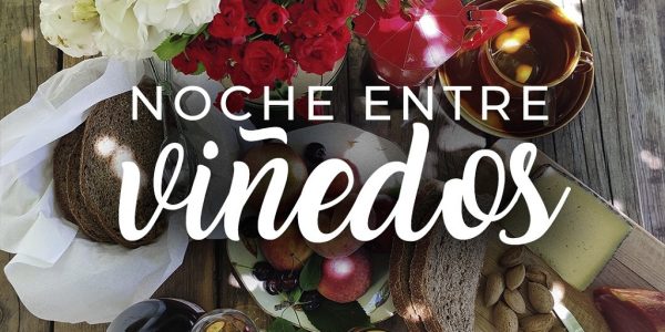 Noche Entre Viñedos (1 Noche)