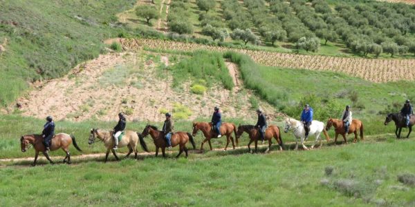 Paseo a Caballo por Altos de Corral