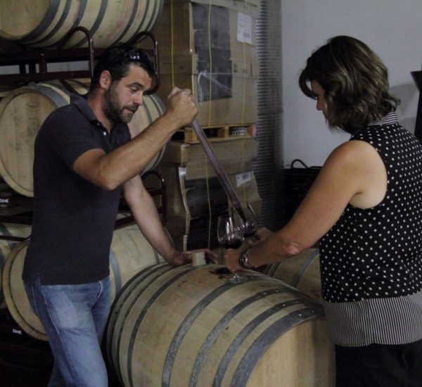 Paseo por Pesquera + Visita Bodegas Cantamora