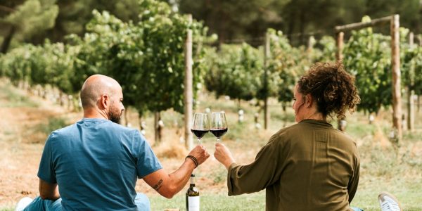 Picnic Entre Viñedos
