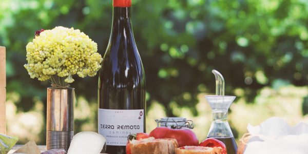 Picnic entre Viñas