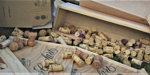 Recicla e imagina con CVNE