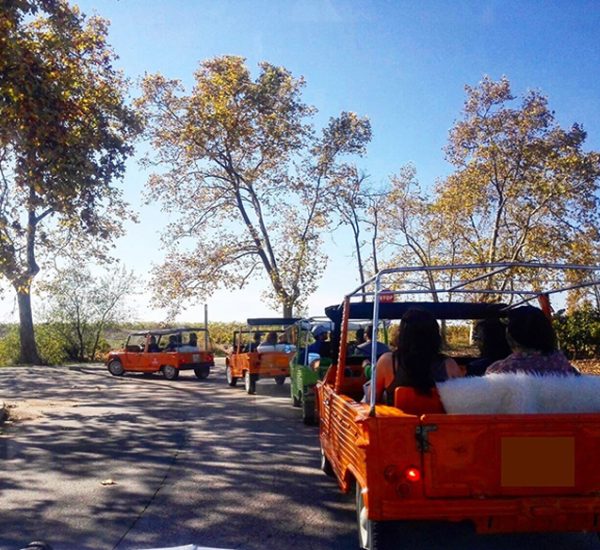 Recorrido en Mehari, Visita y Cata