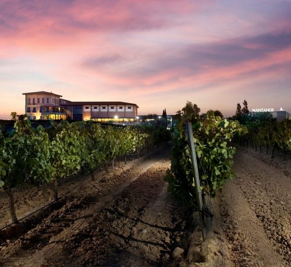 Ruta exclusiva viñedos y Bodegas Manzanos