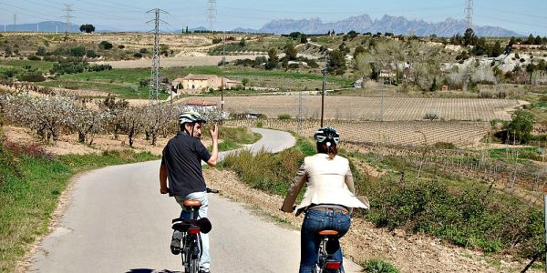 Rutas en Bici entre Viñedos