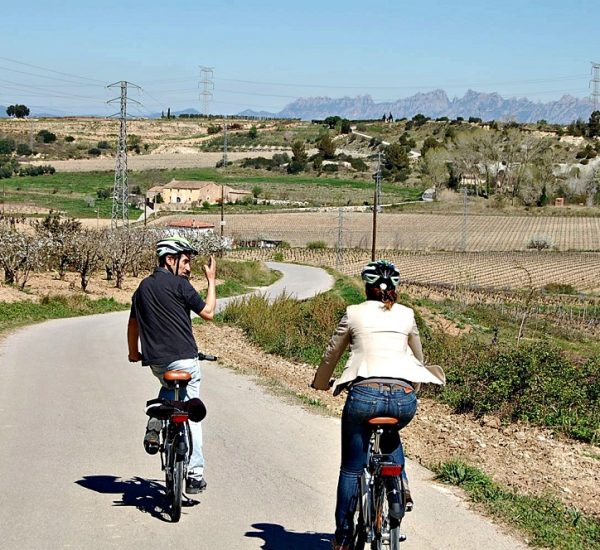 Rutas en Bici entre Viñedos