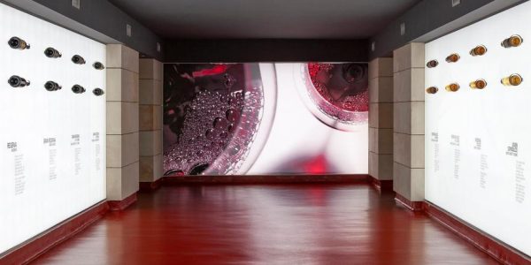 Sensaciones del Vino - Castellano