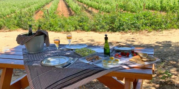 Sopar i música a la fresca al Baluard de Baldús