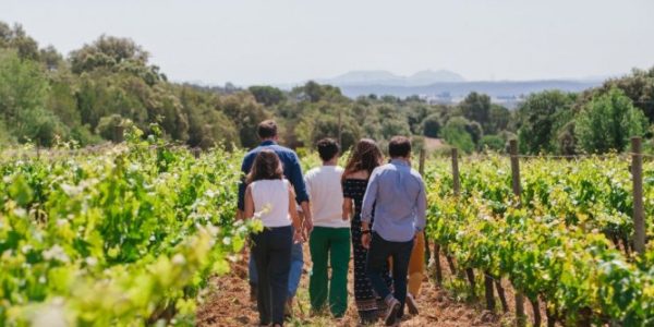 Taller En «En Busca De Baco»
