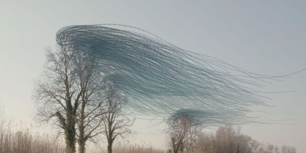 Taller de arte, naturaleza y aves con el fotógrafo Xavier Bou