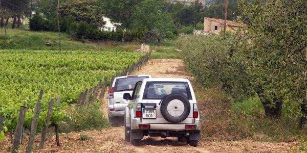 Terroir Tour