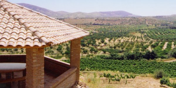 Todo Bodega