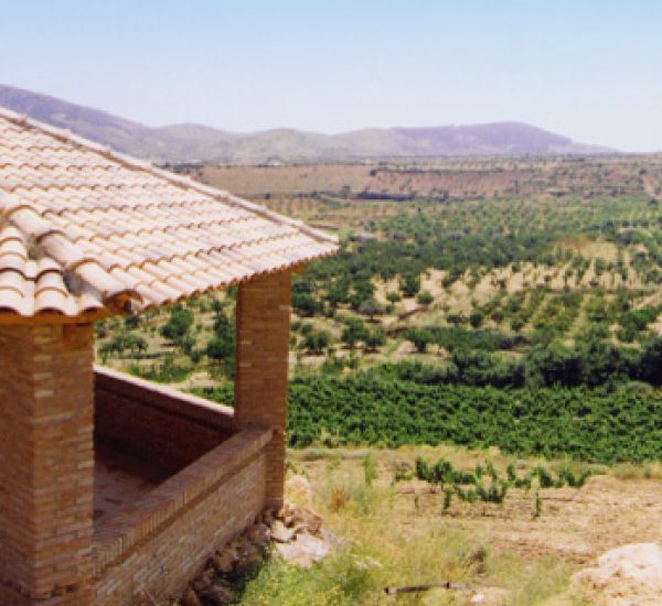 Todo Bodega