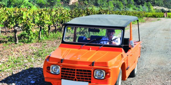 Tour 4x4 Entre Viñedos