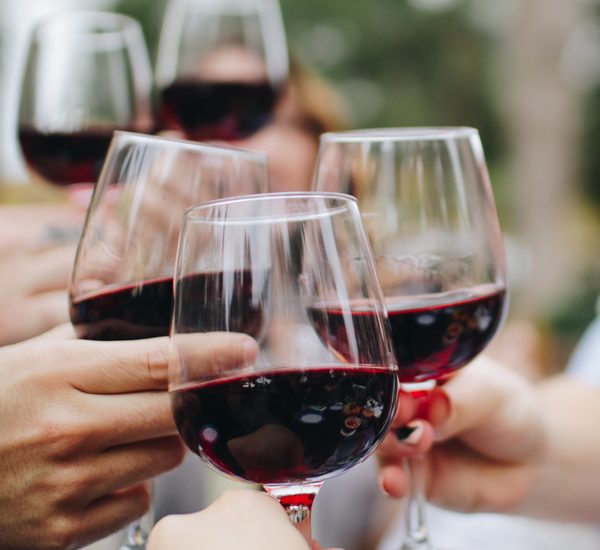 Tour por nuestro viñedo y degustación