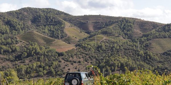 Vale regalo – Licorella Tour