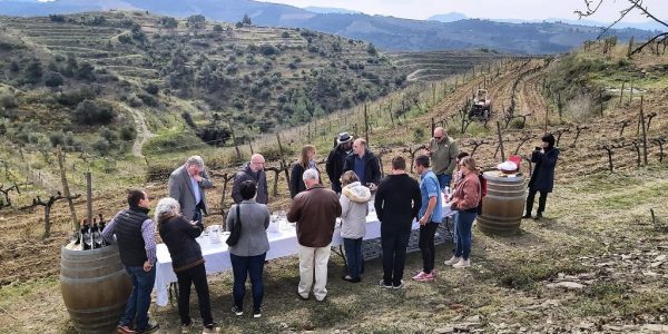 Vale regalo – Paseo entre viñedos, visita la bodega y cata de vinos eco