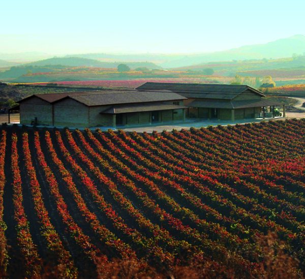 Viñedos de Páganos