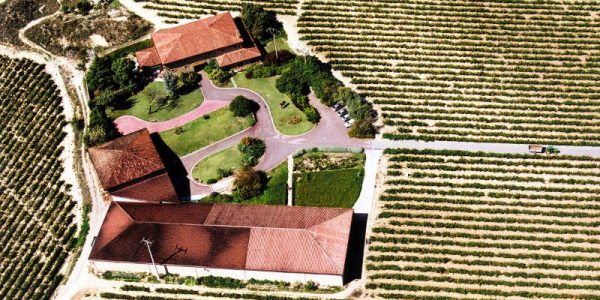 Vinos del Mundo