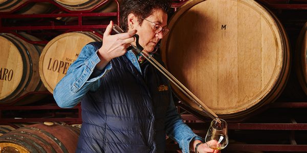 Visita A Viñedo + Bodega