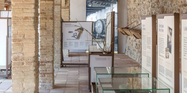 Visita Autónoma y Degustación