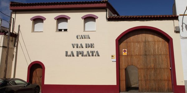 Visita Básica