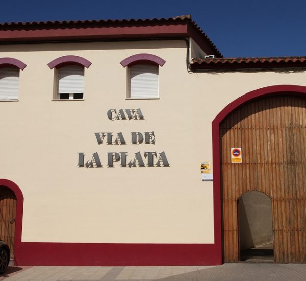Visita Básica
