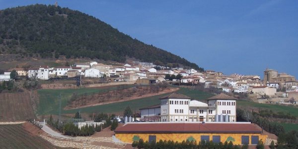 Visita Bodega