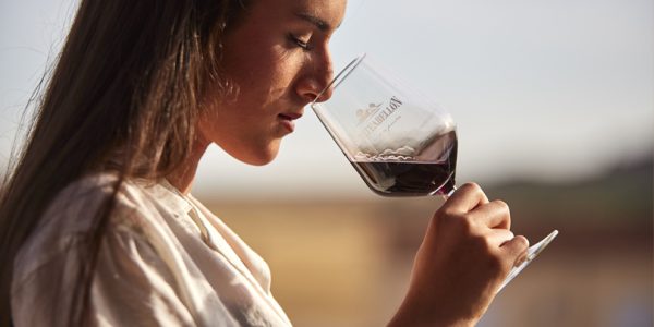 Visita Bodega
