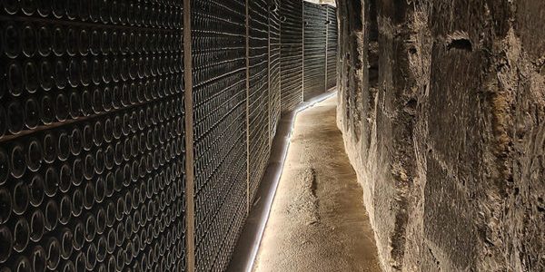 Visita Bodegas Manzanos Haro