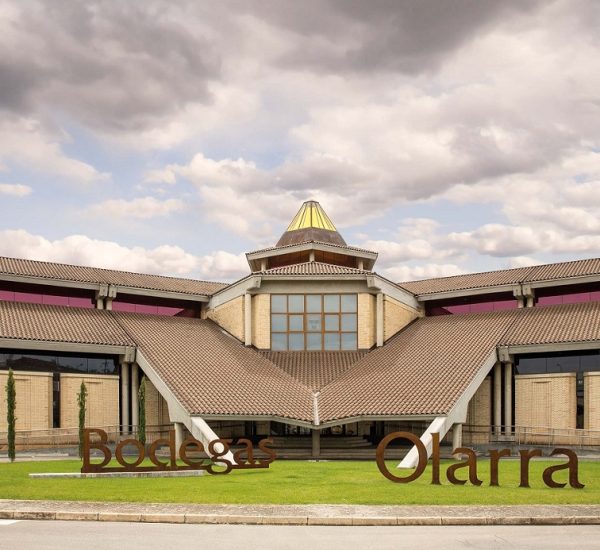 Visita Bodegas Olarra