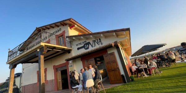 Visita, Cata, Viñedos y Comida en Bodega