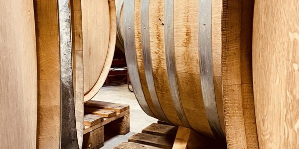 Visita Classic Mas Igneus Priorat