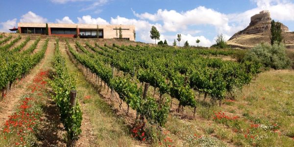 Visita Comenge Privada