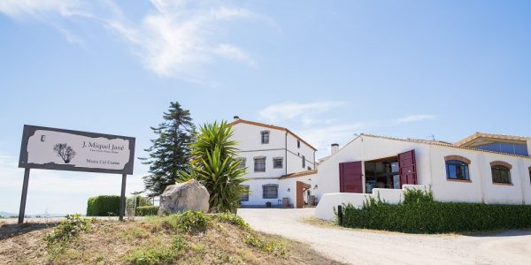 Visita Completa a Bodega con Degustación y Cata de Vinos