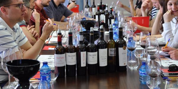 Visita Enoturismo - Grupos