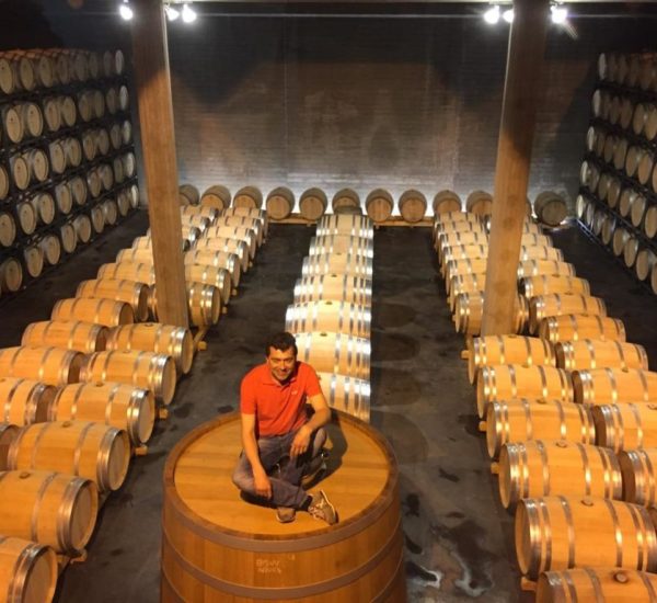 Visita Guiada a la Bodega