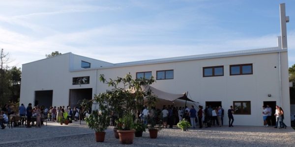 Visita Introducción