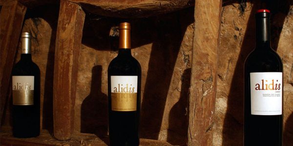 Visita Más Cata de Todos los Vinos