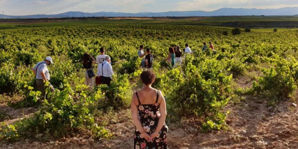 Visita «Más Que Cepas»