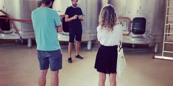 Visita nuestra Bodega