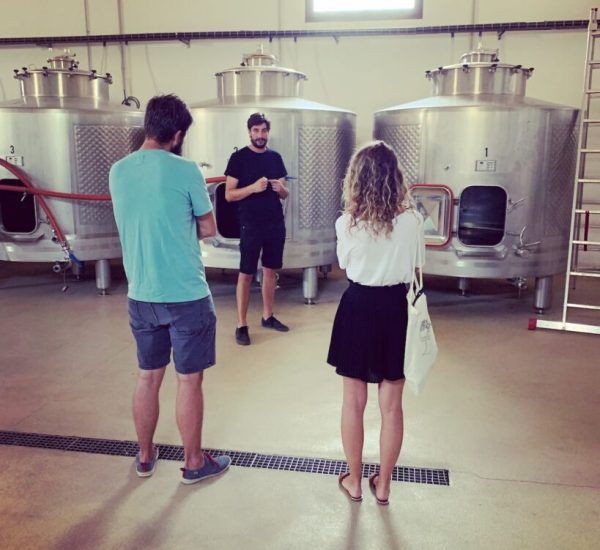 Visita nuestra Bodega