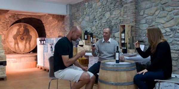 Visita Nuestra Bodega