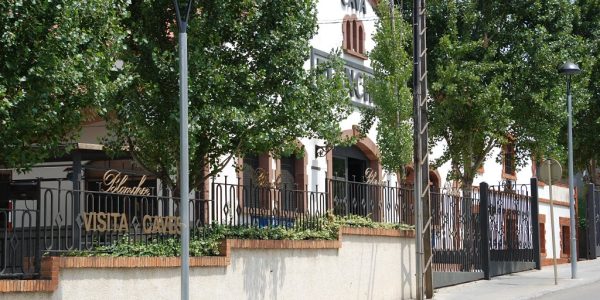 Visita Origen
