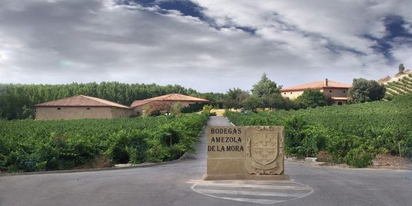 Visita Privada Amezola