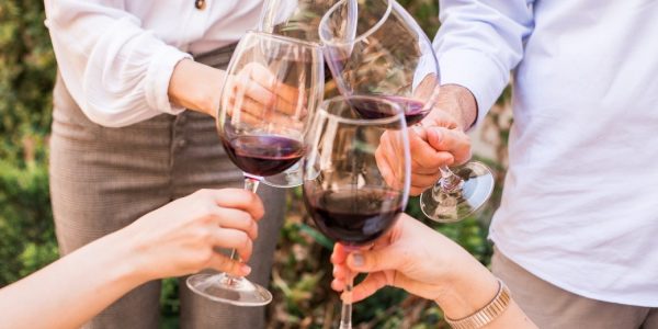 Visita «Tempranillo»