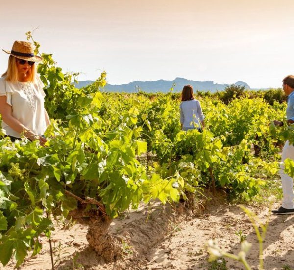 Visita Territorio Tarón