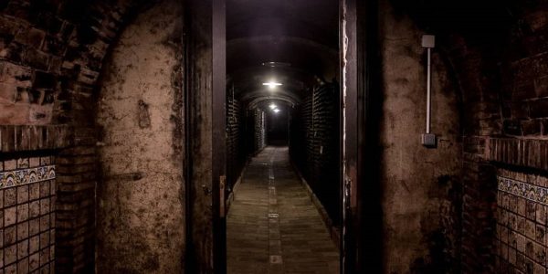 Visita - Tour Bodega