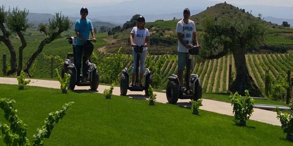 Visita a Bodega + Ruta en Segway