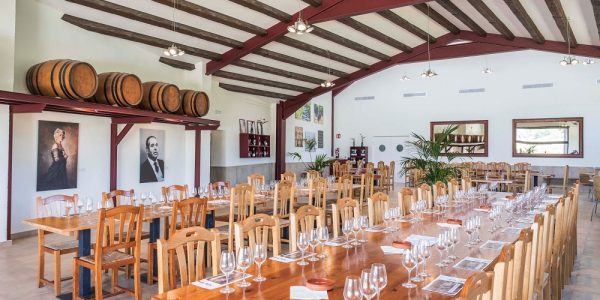 Visita a Bodega con Degustación y Cata de Vinos y Menú en Restaurante